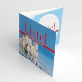 Carte 3 volets